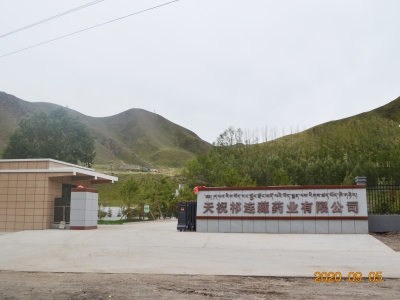 天祝(zhù)祁連藏藥業